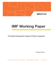 The Direct Employment Impact of Public Investment